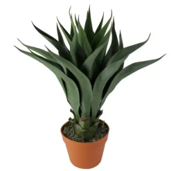 Kirkland's Home Arrangements & Greenery-Agave Succulent Plant In Terracotta Planter