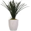 Kirkland's Home Arrangements & Greenery-Areca Grass In Mossy White Planter