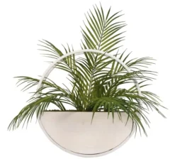 Kirkland's Home Arrangements & Greenery-Areca Palm In Round Sonce Planter