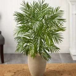 Kirkland's Home Trees & Topiaries-Areca Palm Tree In Sandy Planter