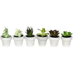 Kirkland's Home Arrangements & Greenery-Assorted Potted Succulent Arrangements, Set Of 6