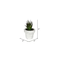 Kirkland's Home Arrangements & Greenery-Assorted Potted Succulent Arrangements, Set Of 6