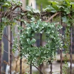 Kirkland's Home Wreaths-Australian Eucalpyptus Wreath