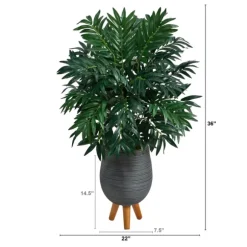 Kirkland's Home Trees & Topiaries-Bamboo Palm With Gray Planter Stand, 3 Ft.