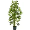 Kirkland's Home Trees & Topiaries-Bamboo Shoot Tree In Nursery Planter