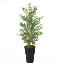 Kirkland's Home Trees & Topiaries-Bamboo Tree In Round Black Planter