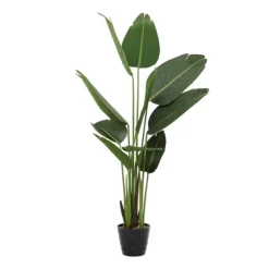 Kirkland's Home Trees & Topiaries-Banana Tree In Ribbed Rock Planter