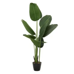 Kirkland's Home Trees & Topiaries-Banana Tree In Ribbed Rock Planter