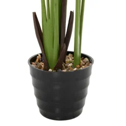 Kirkland's Home Trees & Topiaries-Banana Tree In Ribbed Rock Planter