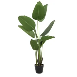 Kirkland's Home Trees & Topiaries-Banana Tree In Ribbed Rock Planter