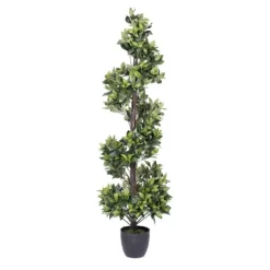 Kirkland's Home Trees & Topiaries-Bay Leaf Spiral Potted Tree, 60 In.