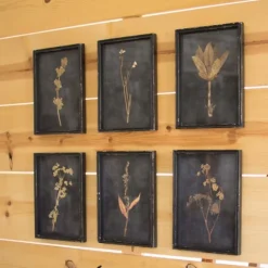 Kirkland's Home Framed Art-Black Botanical Framed Art Prints, Set Of 6
