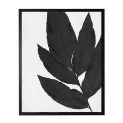 Kirkland's Home Framed Art-Black Cropped Leaf I Framed Art Print