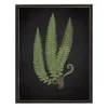 Kirkland's Home Framed Art-Black Fern I Framed Art Print