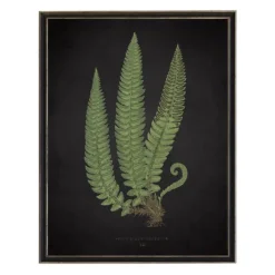 Kirkland's Home Framed Art-Black Fern I Framed Art Print