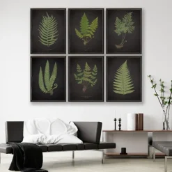 Kirkland's Home Framed Art-Black Fern I Framed Art Print