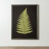 Kirkland's Home Framed Art-Black Fern Iv Framed Art Print