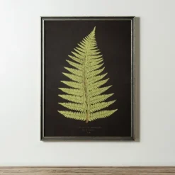 Kirkland's Home Framed Art-Black Fern Iv Framed Art Print