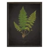 Kirkland's Home Framed Art-Black Fern Vi Framed Art Print