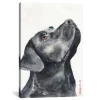 Kirkland's Home Canvas Art-Black Labrador Giclee Canvas Art Print, 18X26