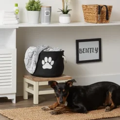 Kirkland's Home Baskets & Boxes-Black Paw Print Round Pet Basket