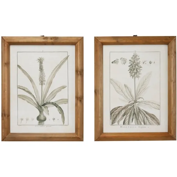 Kirkland's Home Framed Art-Black White Vintage Botanical Framed Art, Set Of 2