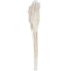 Kirkland's Home Stems & Bouquets-Bleached Preserved Plume Reed Bundles, Set Of 2