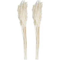Kirkland's Home Stems & Bouquets-Bleached Preserved Plume Reed Bundles, Set Of 2
