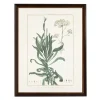 Kirkland's Home Framed Art-Bupleurum Greenery Black Beaded Framed Art Print