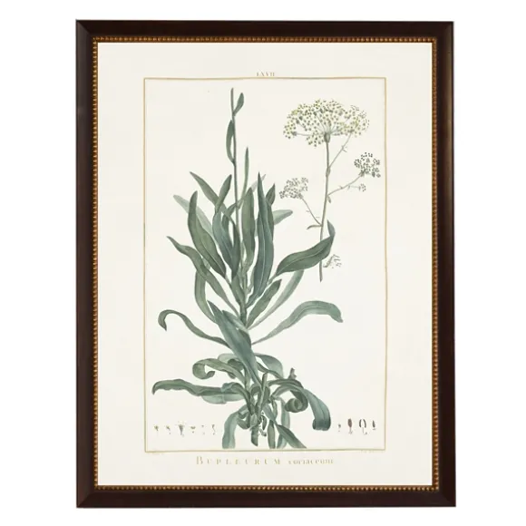 Kirkland's Home Framed Art-Bupleurum Greenery Black Beaded Framed Art Print