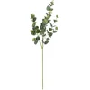 Kirkland's Home Stems & Bouquets-Cinerea Eucalyptus Leaf Stems, Set Of 4
