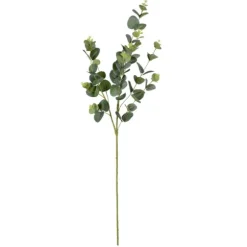 Kirkland's Home Stems & Bouquets-Cinerea Eucalyptus Leaf Stems, Set Of 4