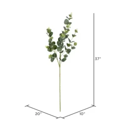 Kirkland's Home Stems & Bouquets-Cinerea Eucalyptus Leaf Stems, Set Of 4