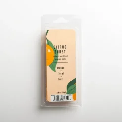 Kirkland's Home Home Fragrance-Citrus Burst Wax Melts