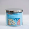 Kirkland's Home Candles-Coastal Oasis Triple Wick Jar Candle