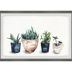 Kirkland's Home Framed Art-Deckled Succulent Row Framed Art Print