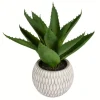 Kirkland's Home Arrangements & Greenery-Deep Aloe Leaves In Ceramic Container
