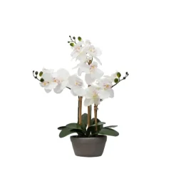 Kirkland's Home Arrangements & Greenery-Desktop Orchid Arrangement In Gray Planter