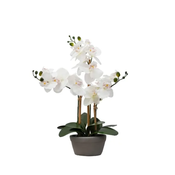 Kirkland's Home Arrangements & Greenery-Desktop Orchid Arrangement In Gray Planter