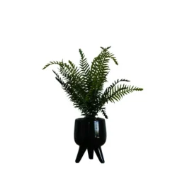 Kirkland's Home Arrangements & Greenery-Desktop Palm Plant In Black Planter