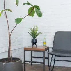 Kirkland's Home Arrangements & Greenery-Desktop Palm Plant In Black Planter