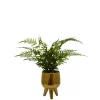 Kirkland's Home Arrangements & Greenery-Desktop Palm Plant In Gold Planter