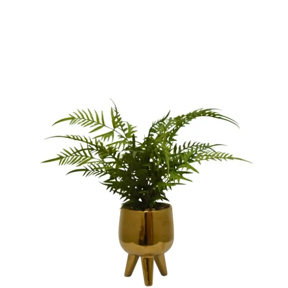 Kirkland's Home Arrangements & Greenery-Desktop Palm Plant In Gold Planter