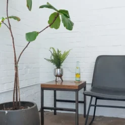 Kirkland's Home Arrangements & Greenery-Desktop Palm Plant In Silver Planter