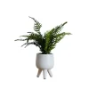 Kirkland's Home Arrangements & Greenery-Desktop Palm Plant In White Planter