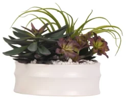 Kirkland's Home Arrangements & Greenery-Echeveria Mix In Modern White Bowl