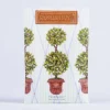 Kirkland's Home Sachets-English Ivy Sachet