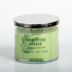 Kirkland's Home Candles-Eucalyptus Leaves Triple Wick Jar Candle