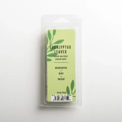 Kirkland's Home Home Fragrance-Eucalyptus Leaves Wax Melts