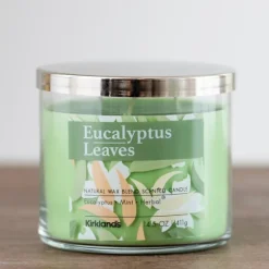 Kirkland's Home Candles-Eucalyptus Leaves 3-Wick Jar Candle